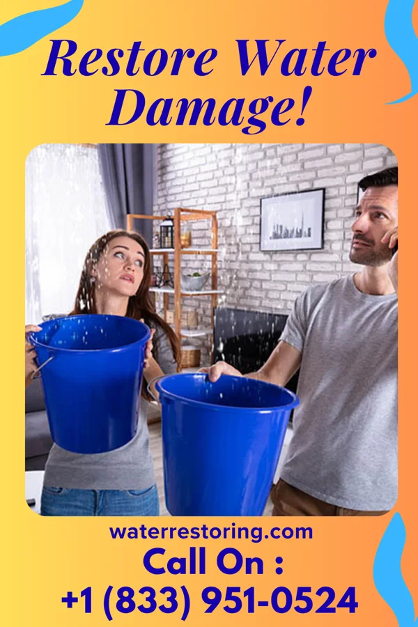 water restoration Local Cleanup Services Four Bridges