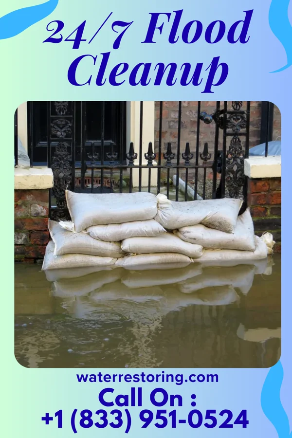24/7 Flood Cleanup in Four Bridges, OH