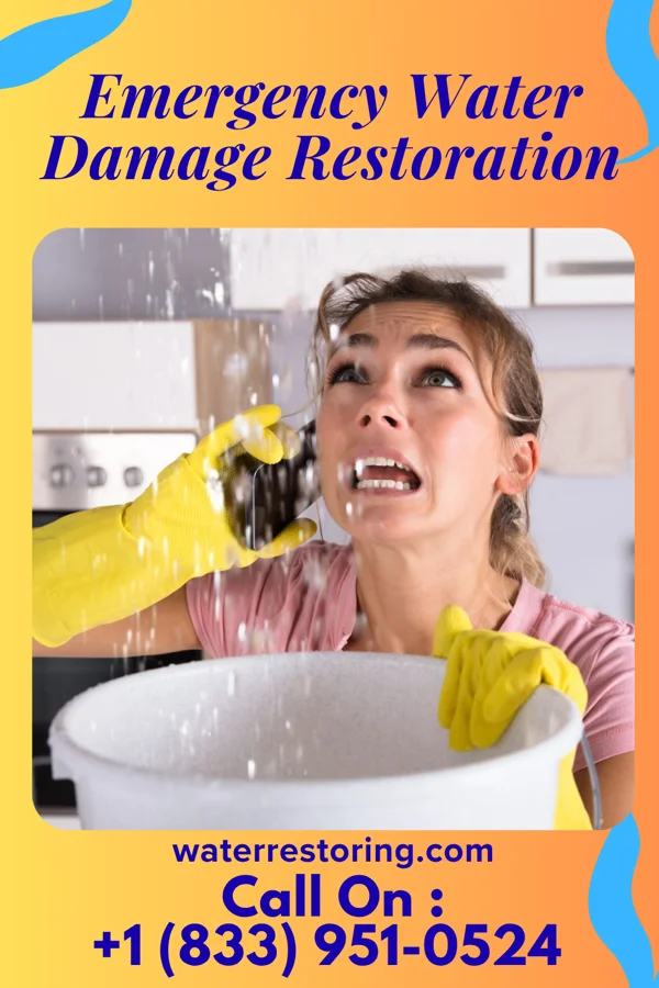 Emergency Water Damage Restoration in Four Bridges, OH