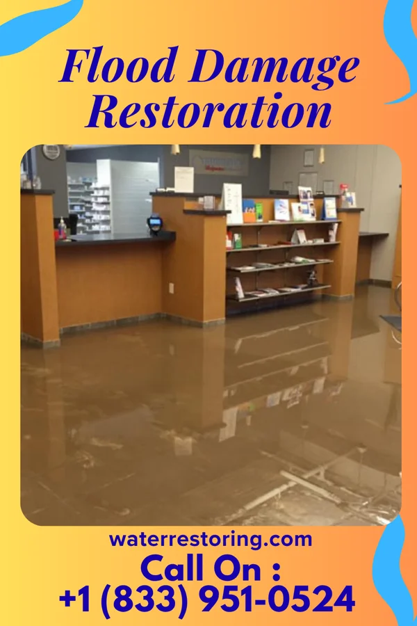 Flood Damage Restoration in Four Bridges, OH