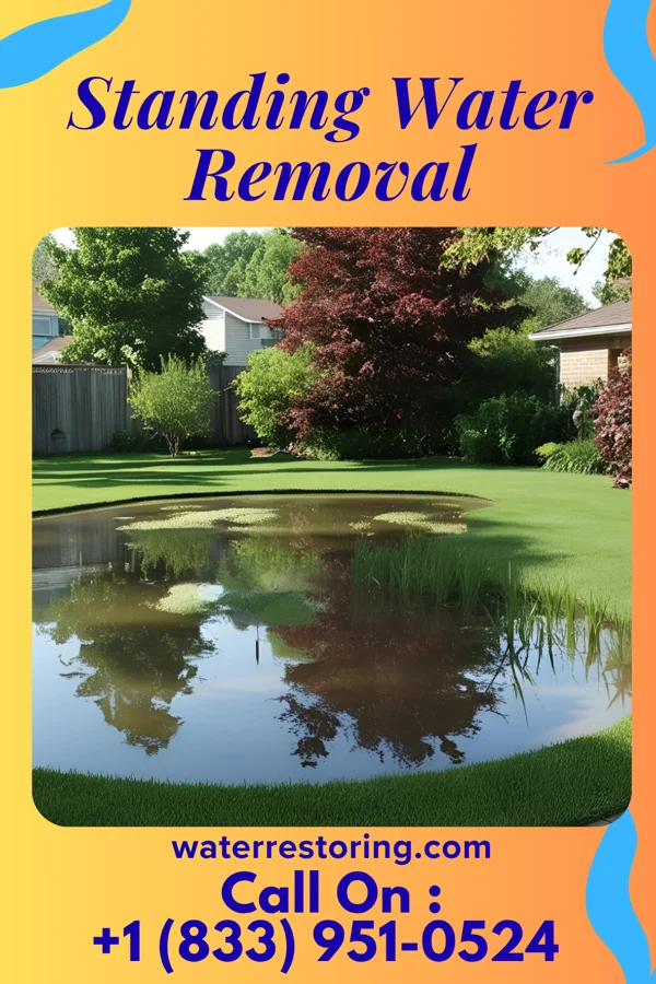 Standing Water Removal in Four Bridges, OH